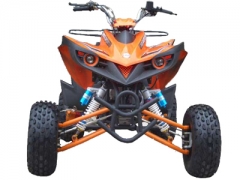 Квадроцикл GM150SP